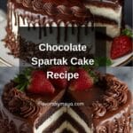 Chocolate Spartak Cake Recipe
