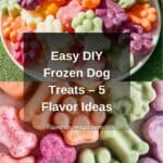 Easy Frozen Dog Treats (5 Flavors!)Ingredients Recipe
