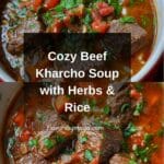 Beef Soup (Kharcho) Recipe