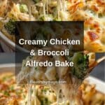Chicken and Broccoli Alfredo Bake Recipe