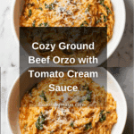 Ground Beef Orzo with Tomato Cream Sauce Recipe