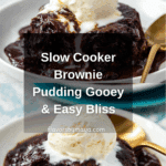 Slow Cooker Brownie Pudding Recipe