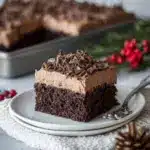 Chocolate Tres Leches Cake Recipe