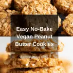 3 Ingredient No Bake Cookies (Vegan) Recipe