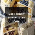 Blueberry Oats Birthday Cake for Dogs Recipe