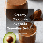 Healthy Chocolate Avocado Smoothie Recipe