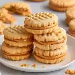 Homemade Copycat Nutter Butters Recipe