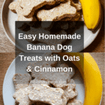 Banana Dog Treats Recipe