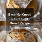 No Knead Sourdough Bread for Beginners Recipe