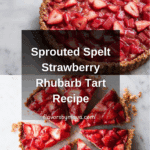 Sprouted Spelt Strawberry Rhubarb Tart Recipe