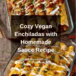 Vegan Enchiladas Recipe