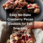 No-Bake Cranberry Pecan Cookies Recipe