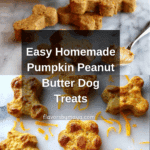 Homemade Dog Treats Recipe