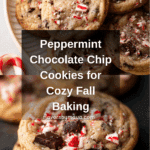 Peppermint Chocolate Chip CookiesIngredients Recipe