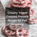 Yogurt Covered Pretzels Recipe