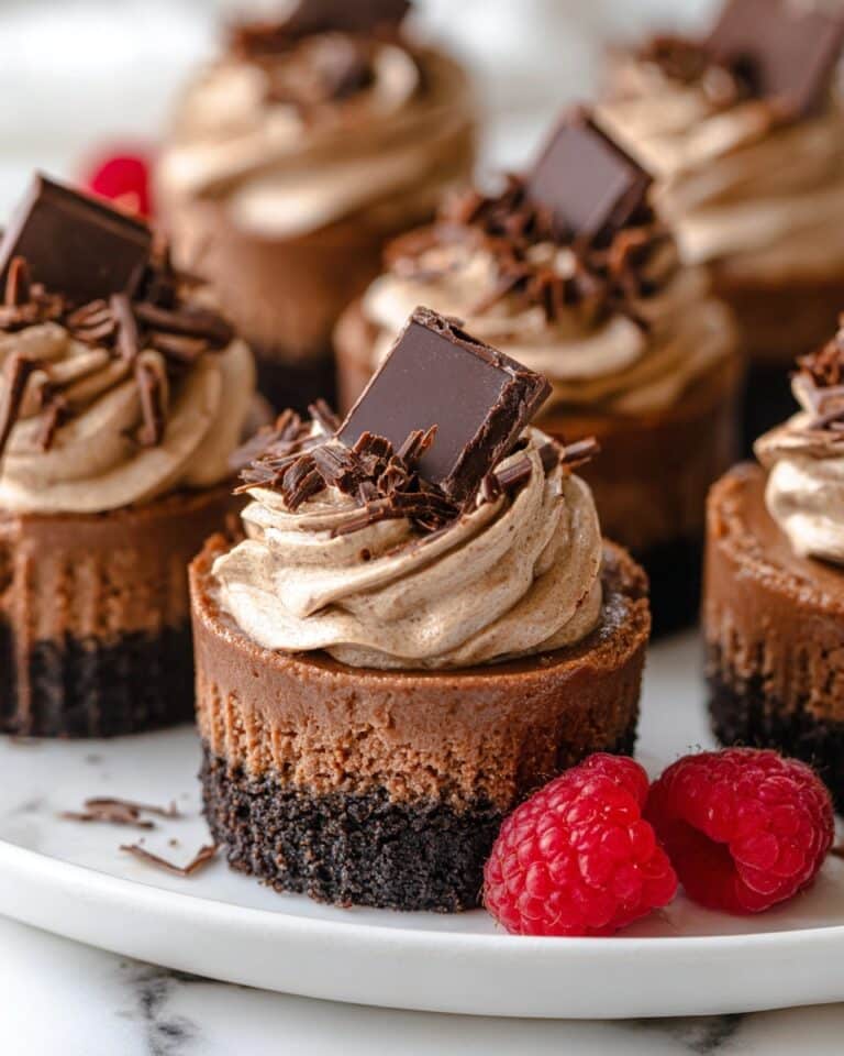 Mini Chocolate Cheesecakes Recipe